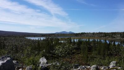 post-16334-0-73302600-1428003758_thumb.j