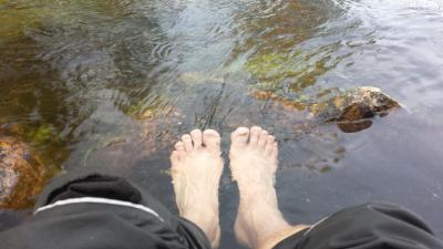 post-16334-0-74443300-1428005194_thumb.j