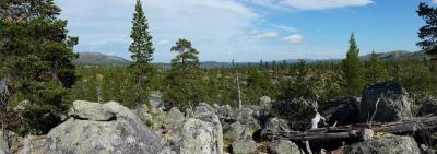 post-16334-0-76839400-1428040896_thumb.j