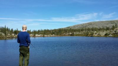 post-16334-0-79134100-1428003656_thumb.j