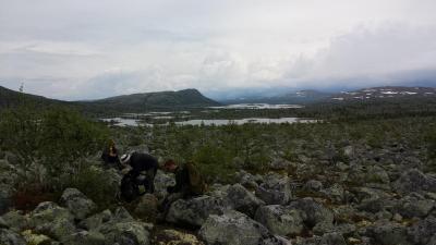 post-16334-0-82914200-1428694394_thumb.j