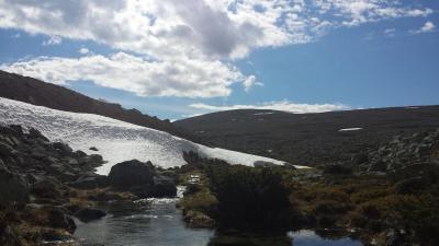 post-16334-0-84089200-1428697166_thumb.j