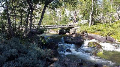 post-16334-0-92939000-1428040785_thumb.j