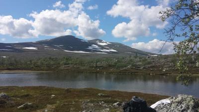 post-16334-0-94809700-1428695936_thumb.j