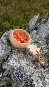 post-16334-0-97124200-1428039445_thumb.j