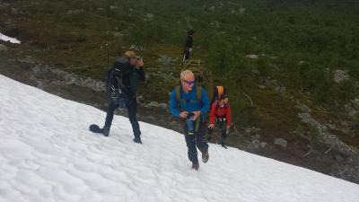 post-16334-0-97929600-1428696779_thumb.j