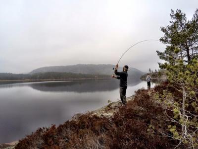 post-16523-0-64079500-1429432871_thumb.j