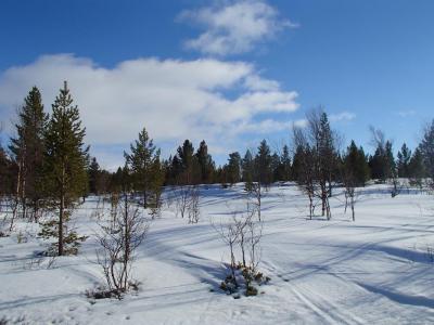 post-16651-0-20387200-1430072737_thumb.j