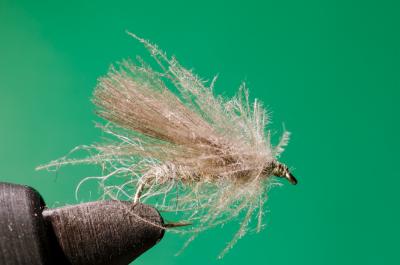 post-8581-0-91203800-1428318430_thumb.jp