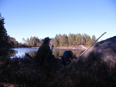 post-8832-0-74084300-1429189761_thumb.jp