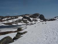 post-1073-0-79383700-1338107199_thumb.jp