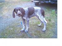 post-2544-0-33648100-1337284905_thumb.jp