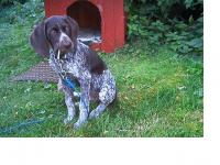 post-2544-0-87161700-1337285093_thumb.jp