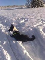 post-1047-0-84859700-1369131429_thumb.jp