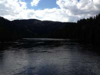 post-11141-0-74733700-1368996548_thumb.j