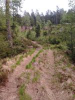 post-11774-0-13526500-1369943412_thumb.j