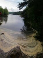 post-11774-0-22357700-1369943397_thumb.j