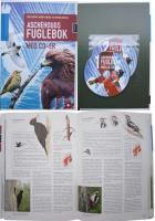 post-4016-0-06950300-1367856750_thumb.jp