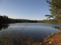 post-4444-0-95620800-1369067965_thumb.jp