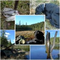 post-5141-0-25450400-1369856277_thumb.jp