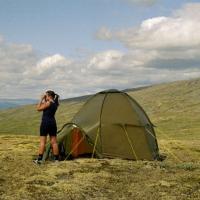 post-5141-0-40627900-1369862434_thumb.jp