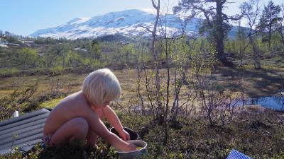 post-10401-0-18739600-1401460668_thumb.j