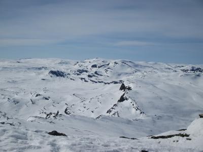 post-11420-0-37017000-1399038728_thumb.j