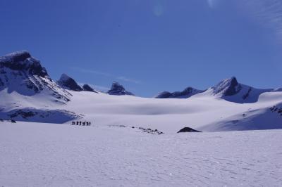 post-11420-0-38820900-1399228837_thumb.j