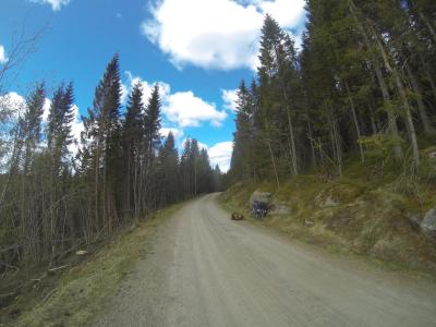 post-11941-0-96986200-1399231151_thumb.j