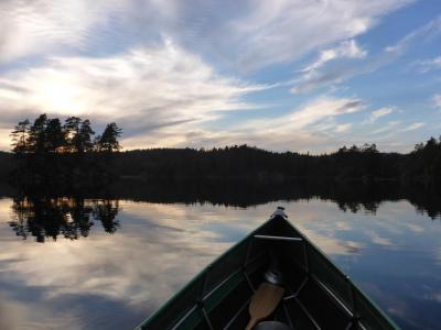 post-12225-0-00100800-1401568351_thumb.j