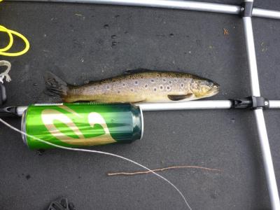 post-12225-0-11916200-1401568247_thumb.j