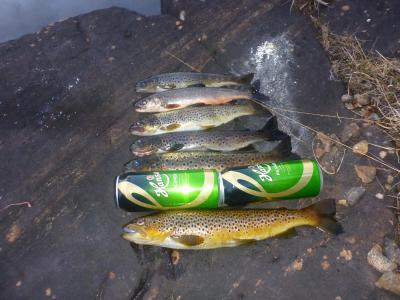 post-12225-0-39711100-1399733400_thumb.j