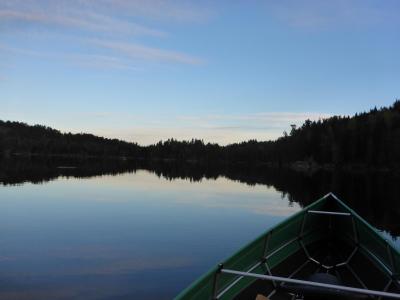 post-12225-0-40377100-1399733246_thumb.j