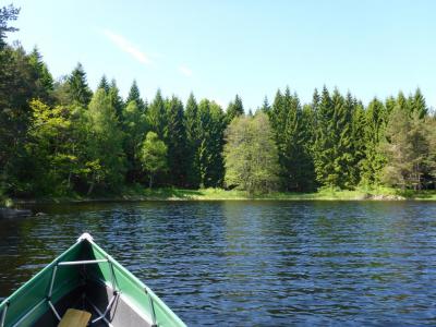 post-12225-0-71232400-1401568728_thumb.j