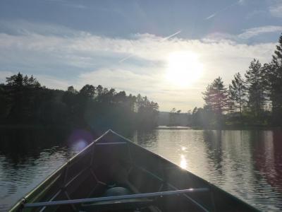 post-12225-0-76050600-1401568133_thumb.j