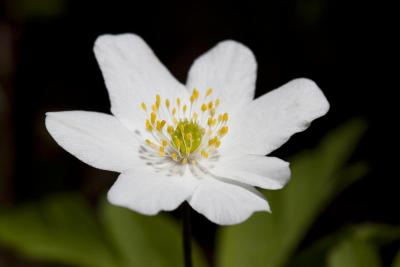 post-12278-0-21428200-1401177098_thumb.j