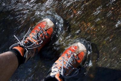 post-12278-0-25878600-1401177326_thumb.j