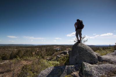 post-12278-0-64061200-1401177291_thumb.j