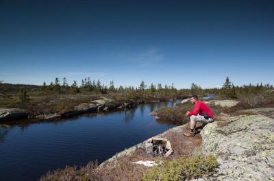 post-12278-0-80314100-1401177204_thumb.j