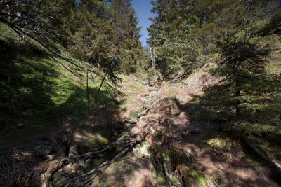 post-12278-0-82411200-1401177143_thumb.j