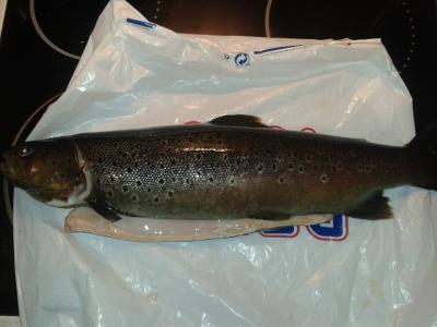 post-12978-0-11501100-1399392491_thumb.j