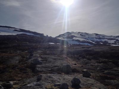 post-13206-0-18527200-1401225580_thumb.j