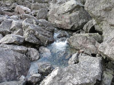 post-13206-0-19890700-1400414174_thumb.j