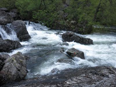 post-13206-0-64458600-1400414177_thumb.j