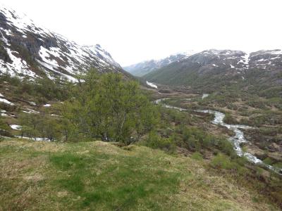 post-13206-0-68170600-1400414454_thumb.j