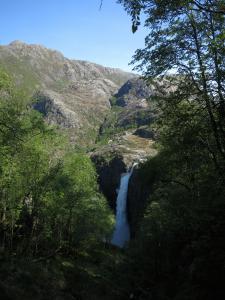 post-13206-0-71192000-1400414690_thumb.j