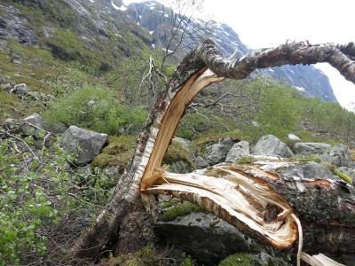 post-13206-0-76374700-1400414444_thumb.j