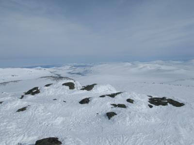 post-13618-0-24830400-1401052857_thumb.j