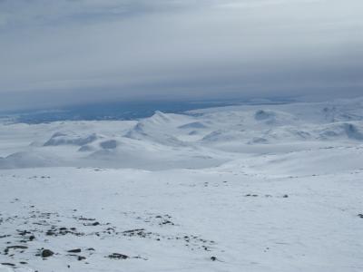 post-13618-0-92033300-1401053408_thumb.j