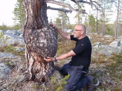 post-6295-0-93695000-1401393159_thumb.jp